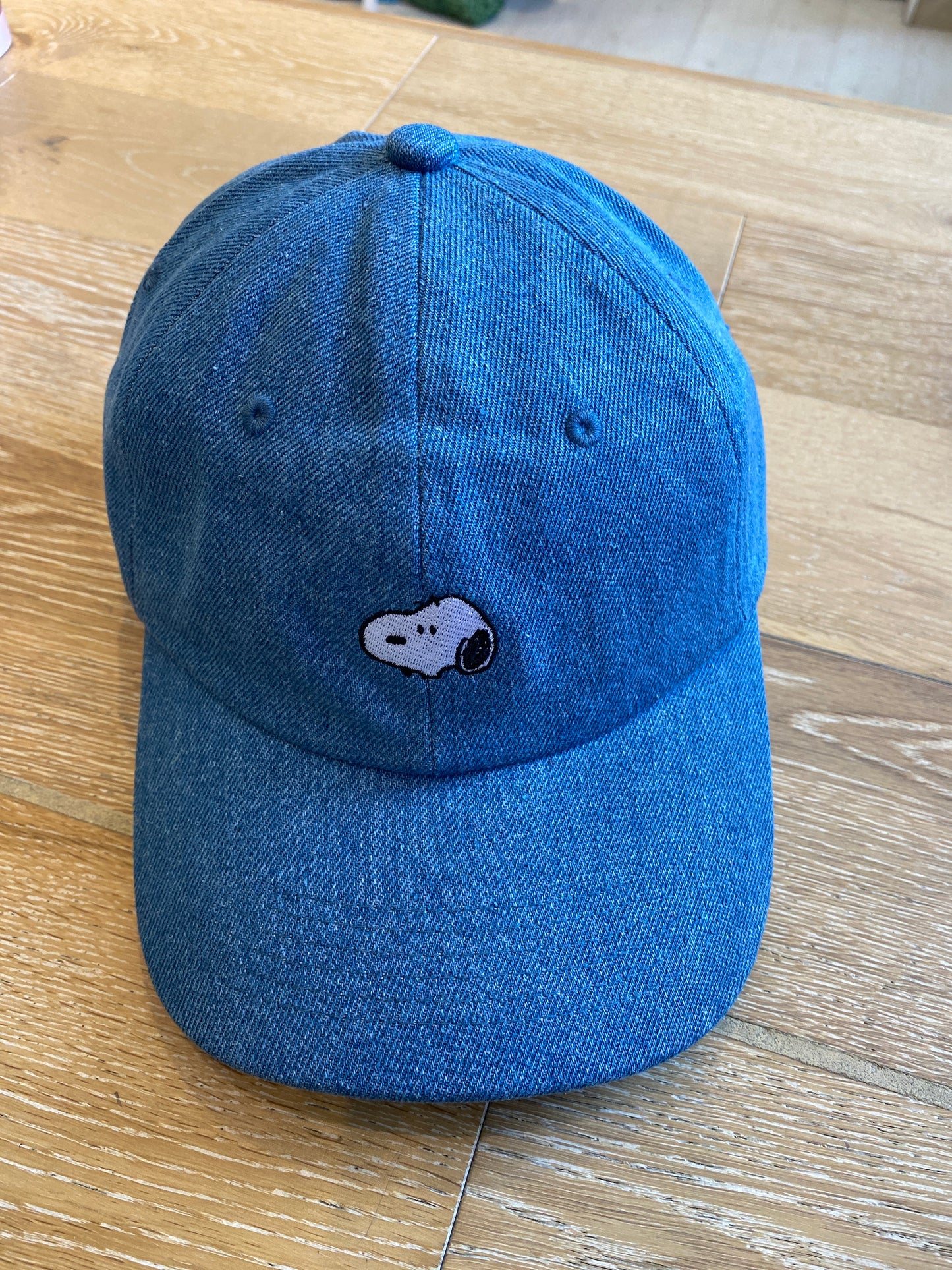 Six Panel Baseball Hat