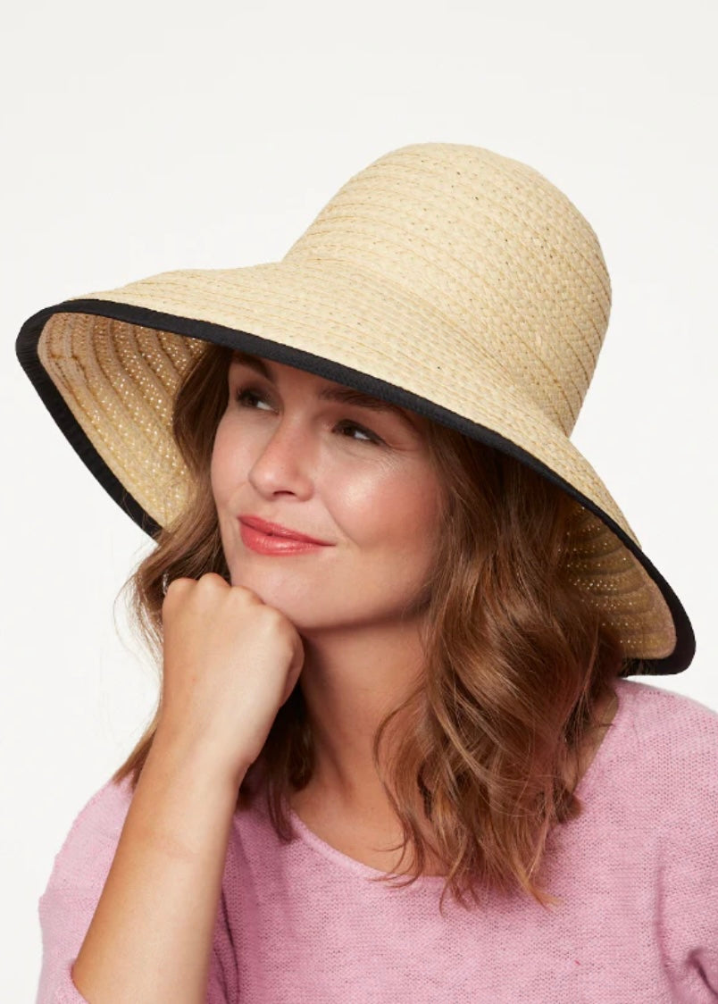 Melrose Widebrim