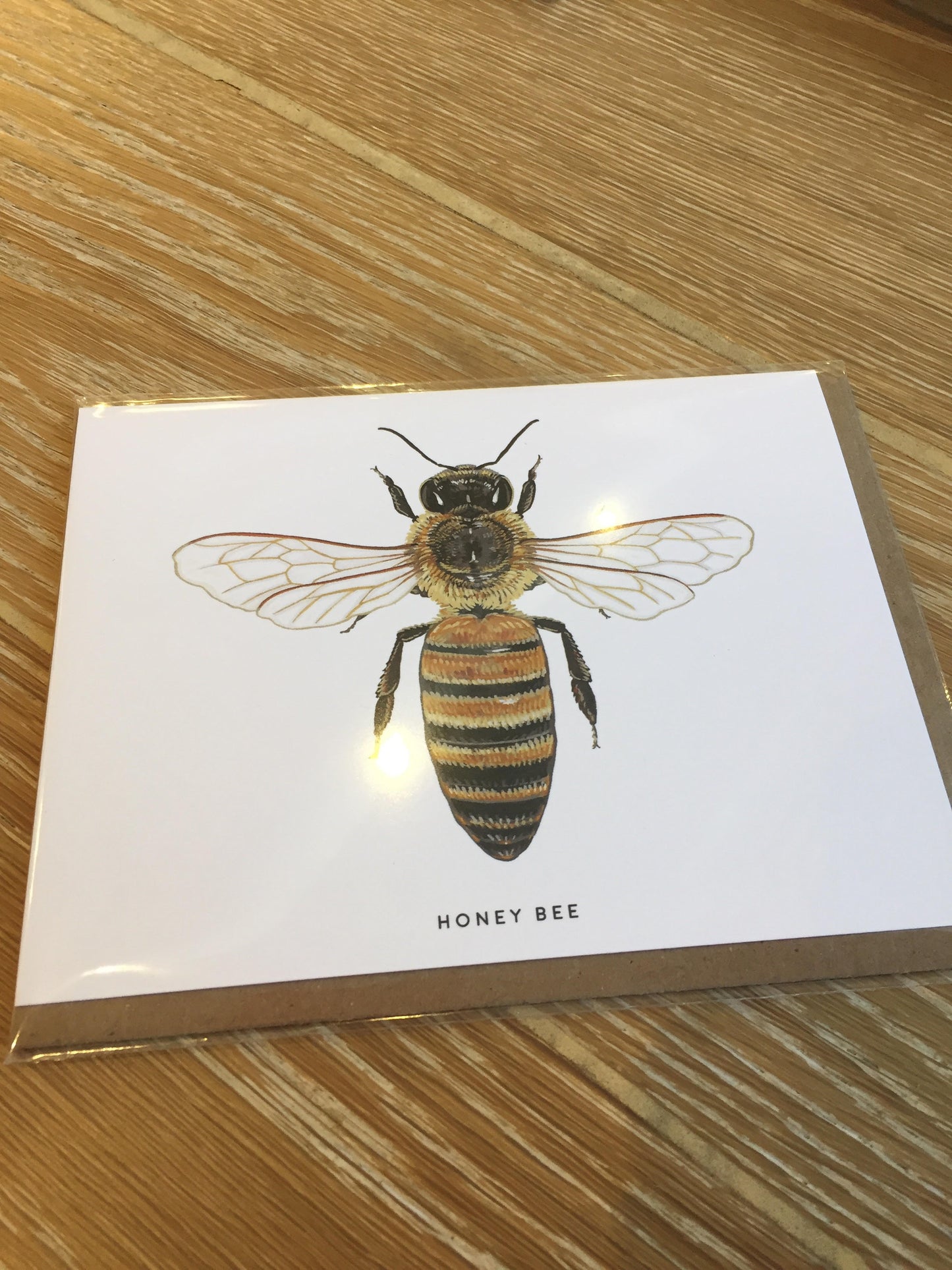 Scout Greeting Cards