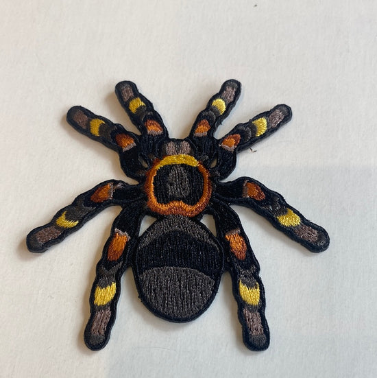 Little Critterz iron on patches