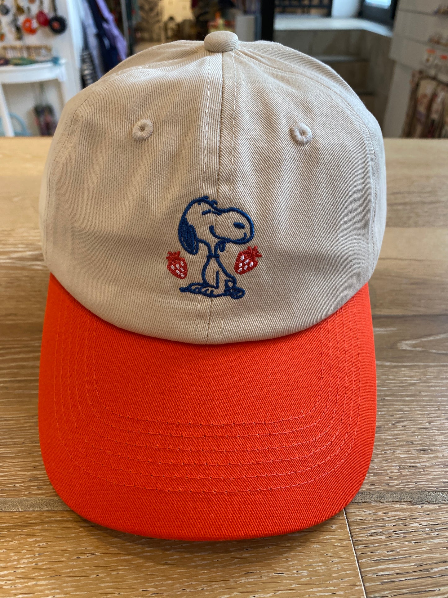 Six Panel Baseball Hat