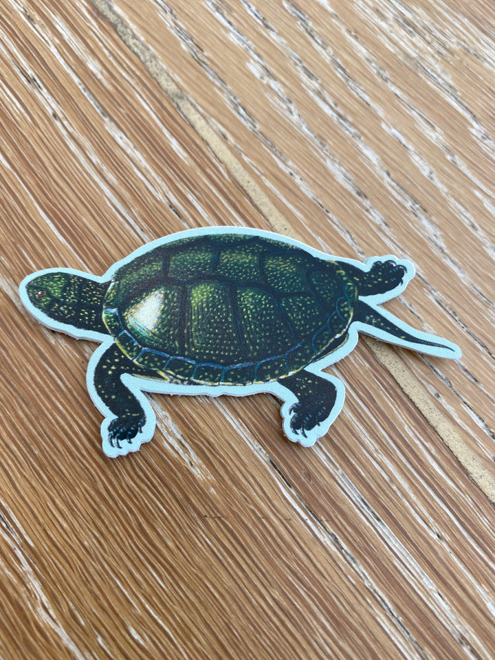 Total Turtle Stickers
