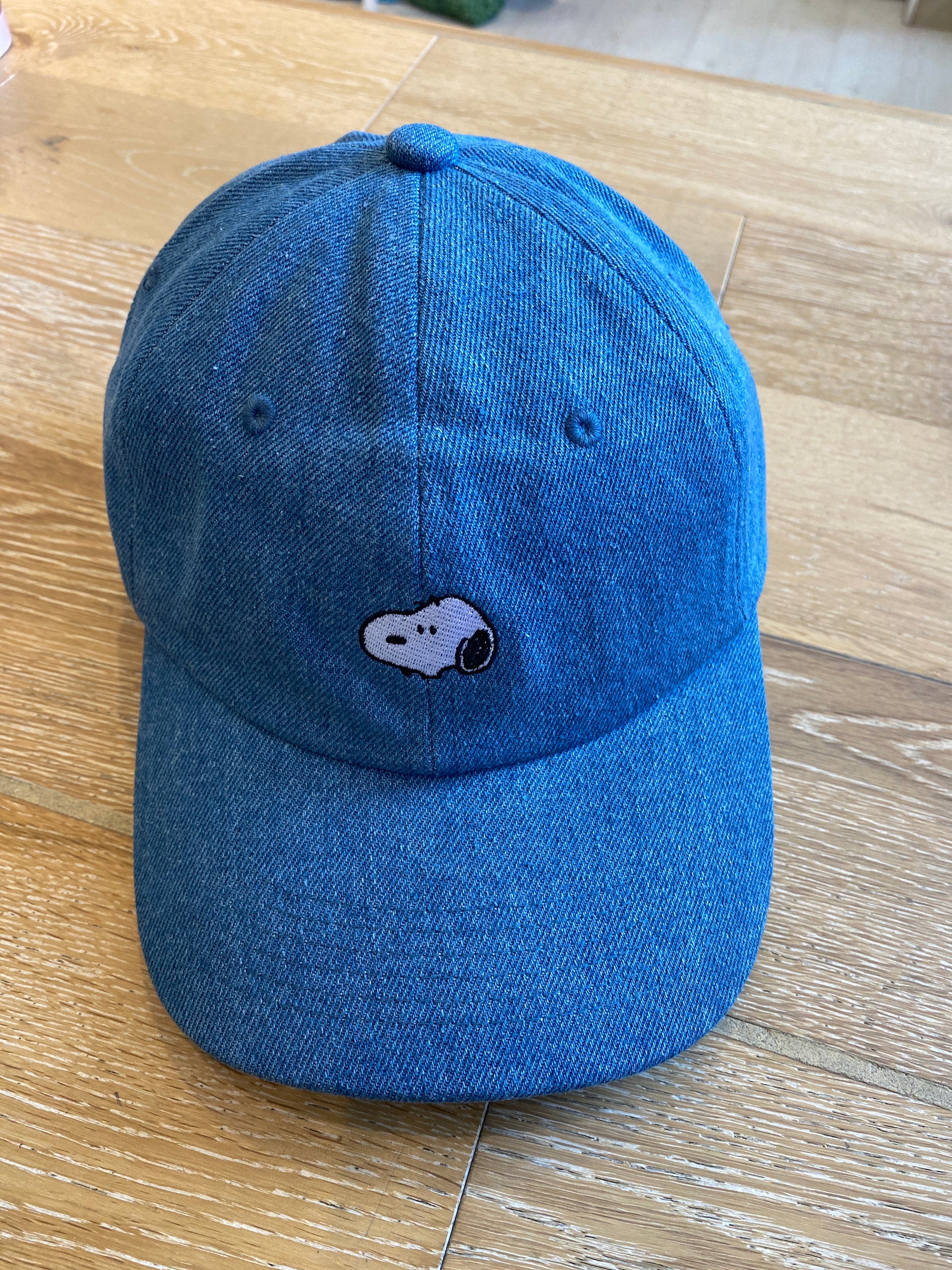 Six Panel Baseball Hat