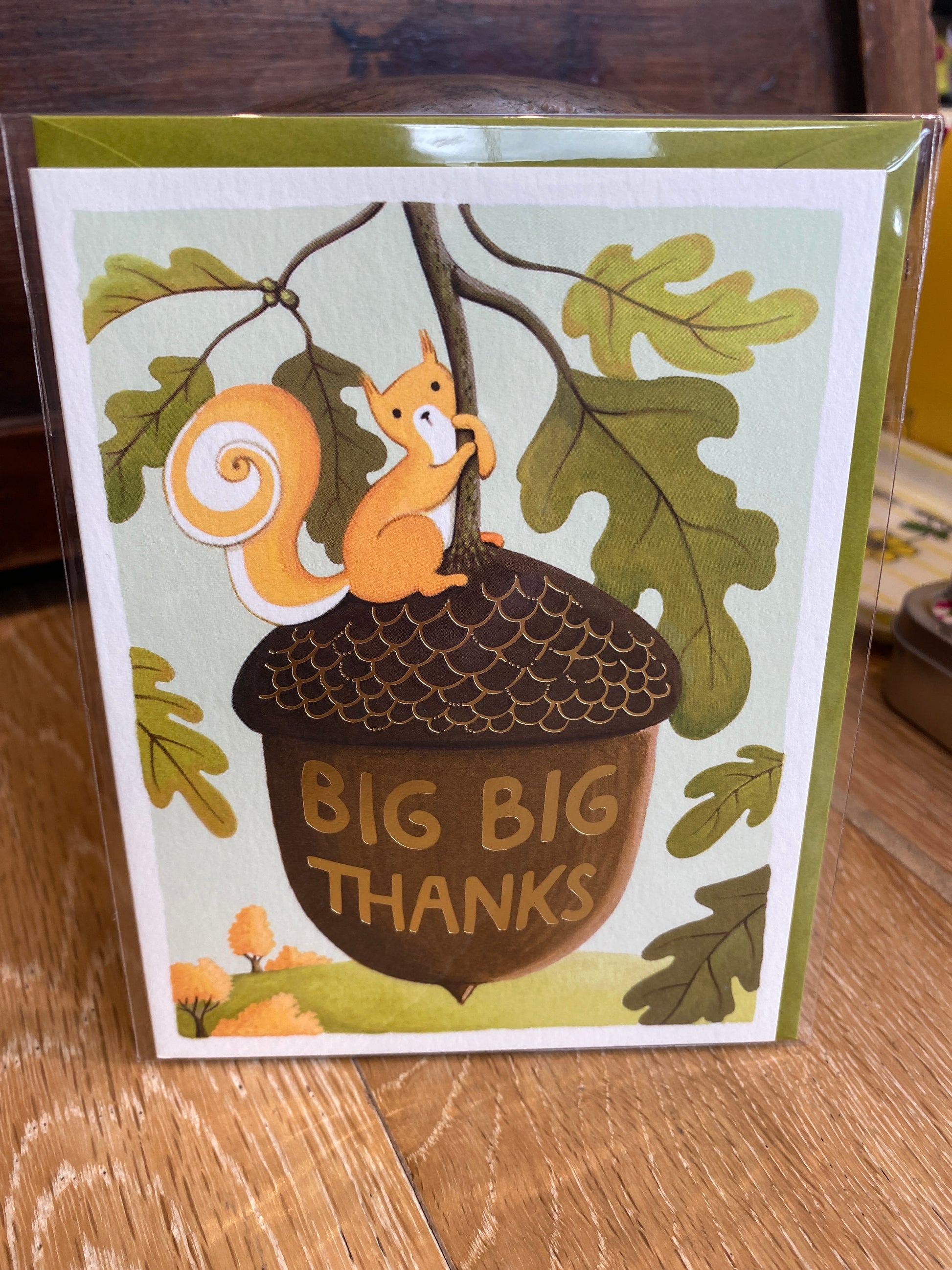 Squirrel Big Thanks Greeting Card