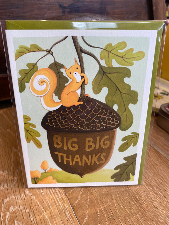 Squirrel Big Thanks Greeting Card