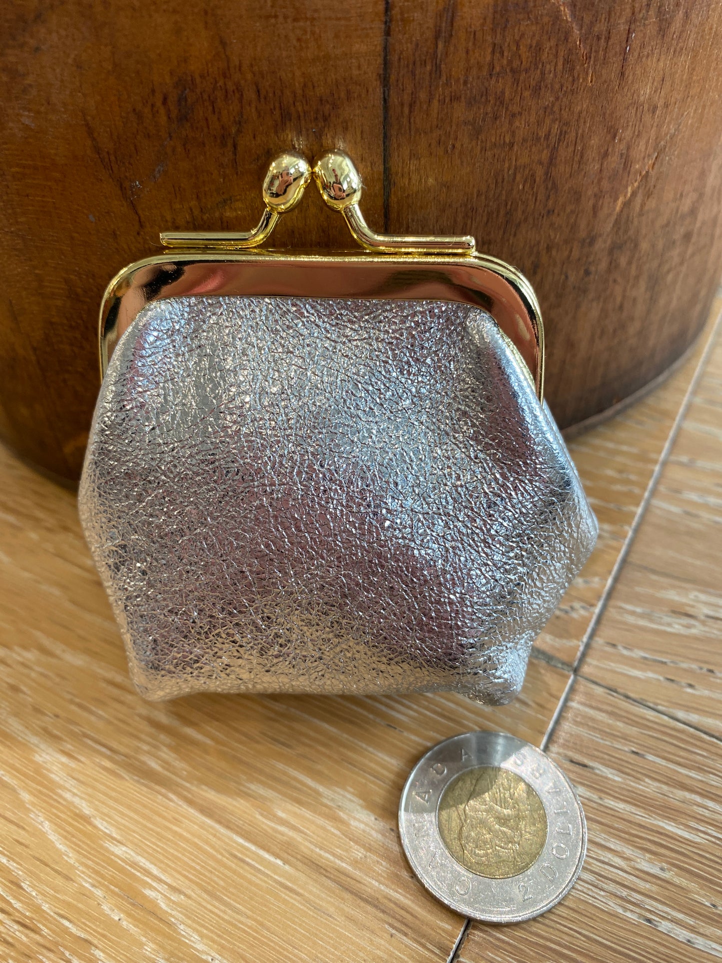 Retro Leather Mini Purse Silver