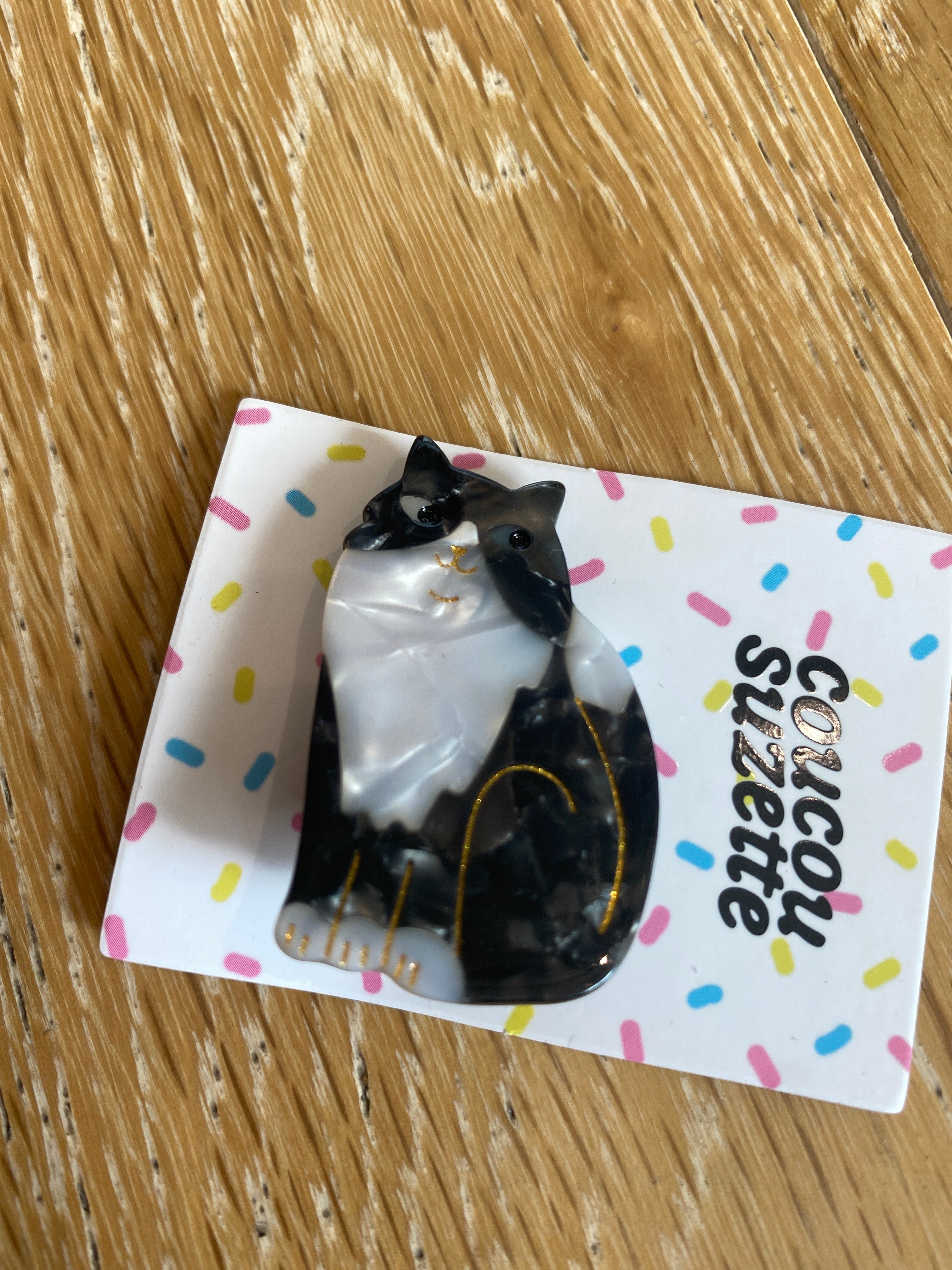 Chat Noir Hair Clip