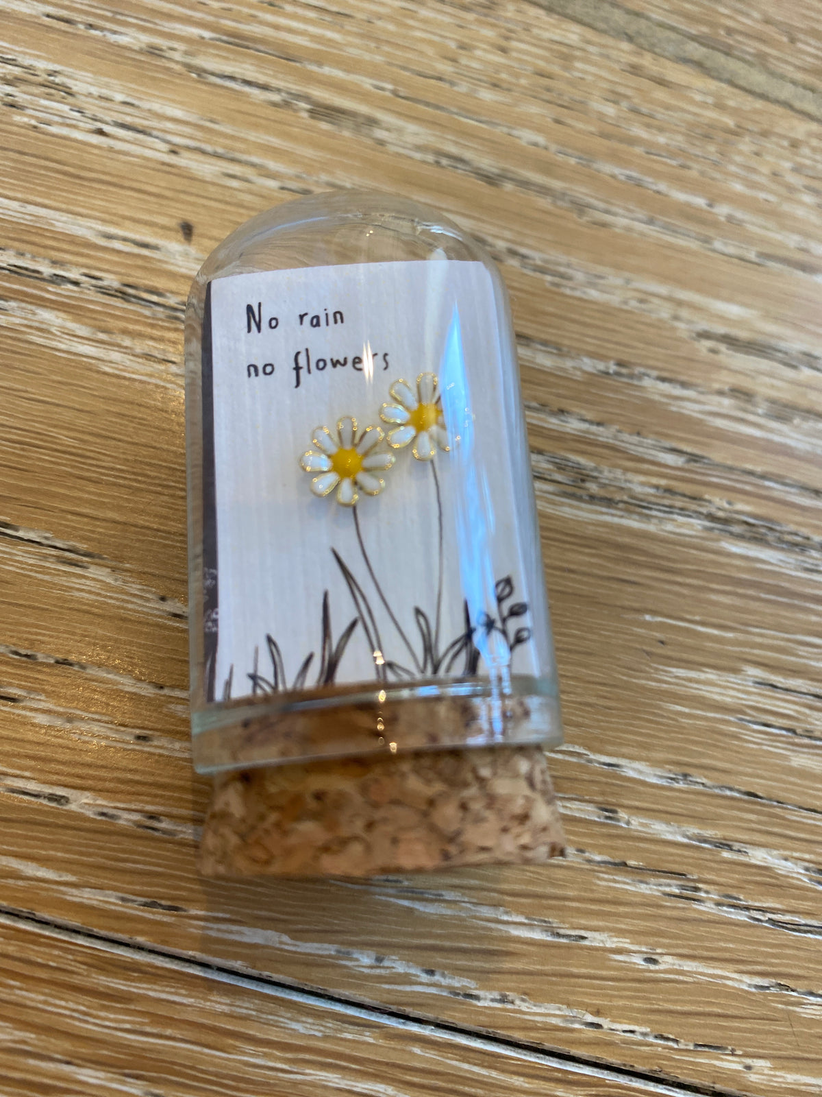 No rain no flowers Daisy Stud Earrings