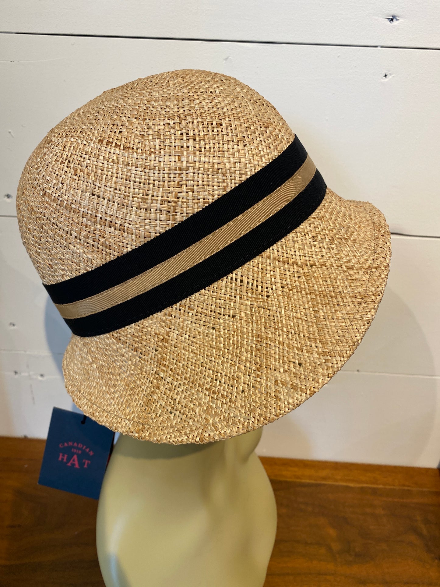 Daisy B Cloche