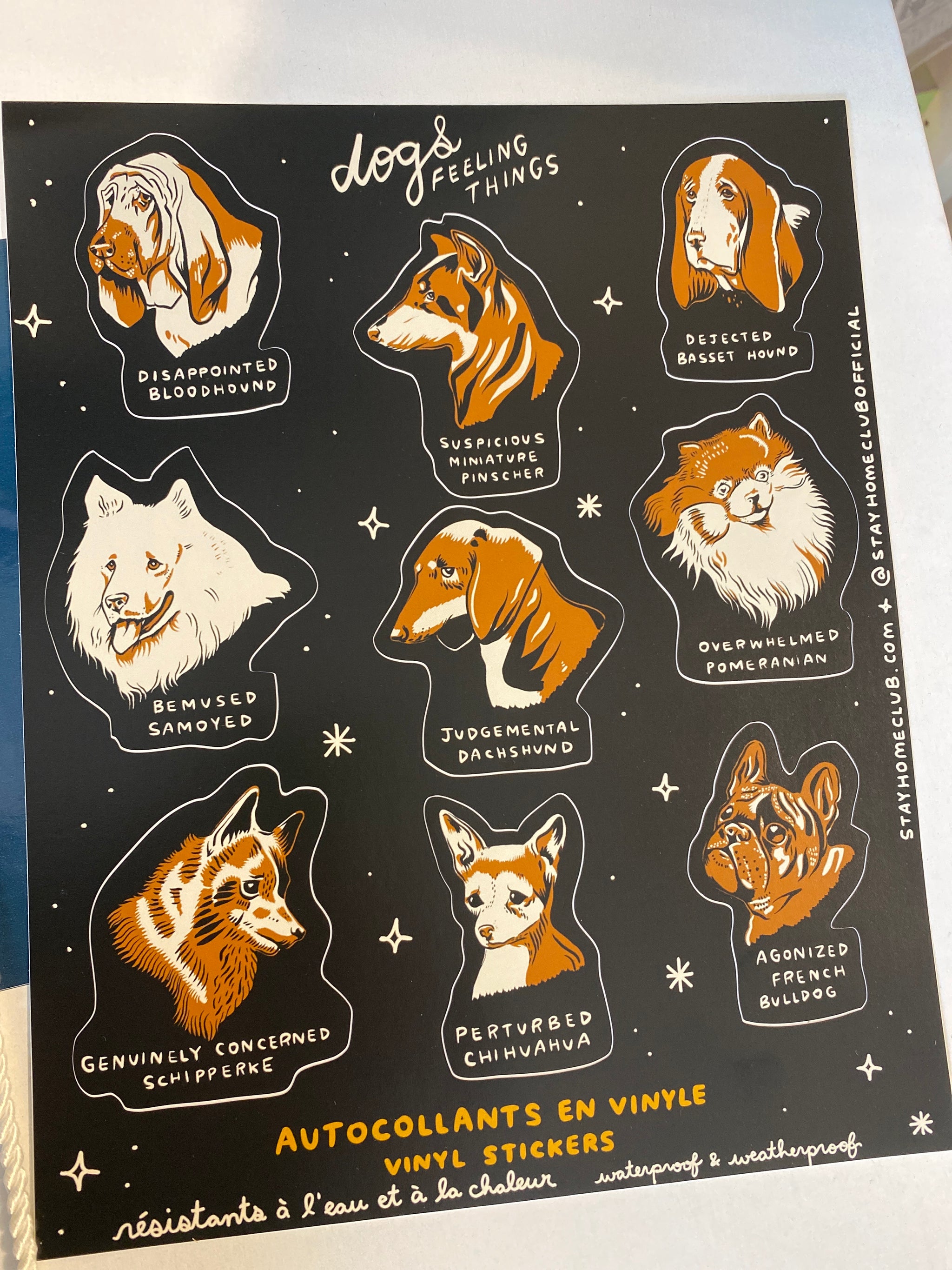 Mega Sticker Sheet