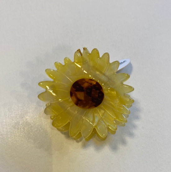 Hair Claw