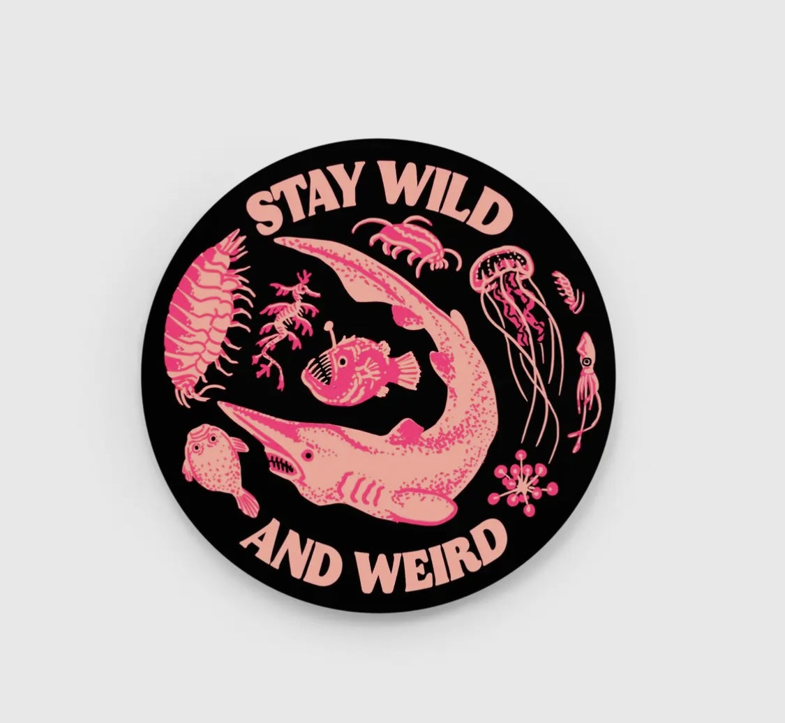 Stickers and Pins