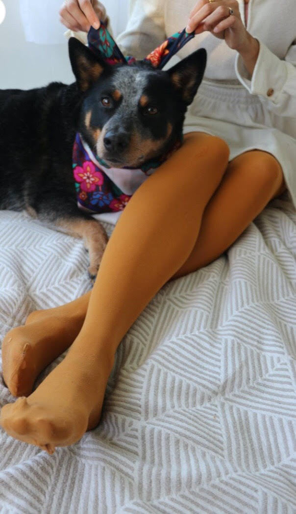 Opaque Zokki Tights