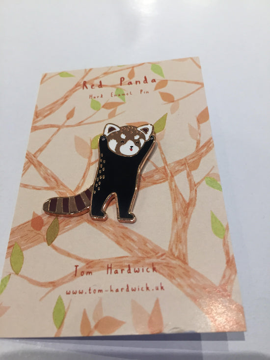 Red Panda standing