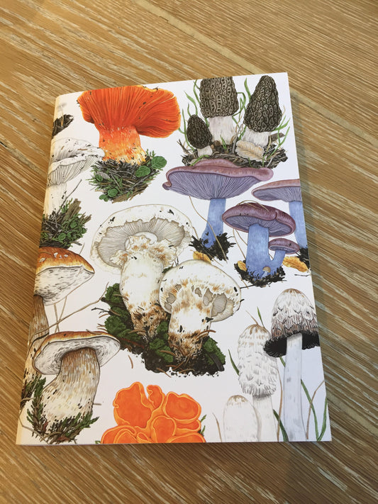 Fungi Notebook