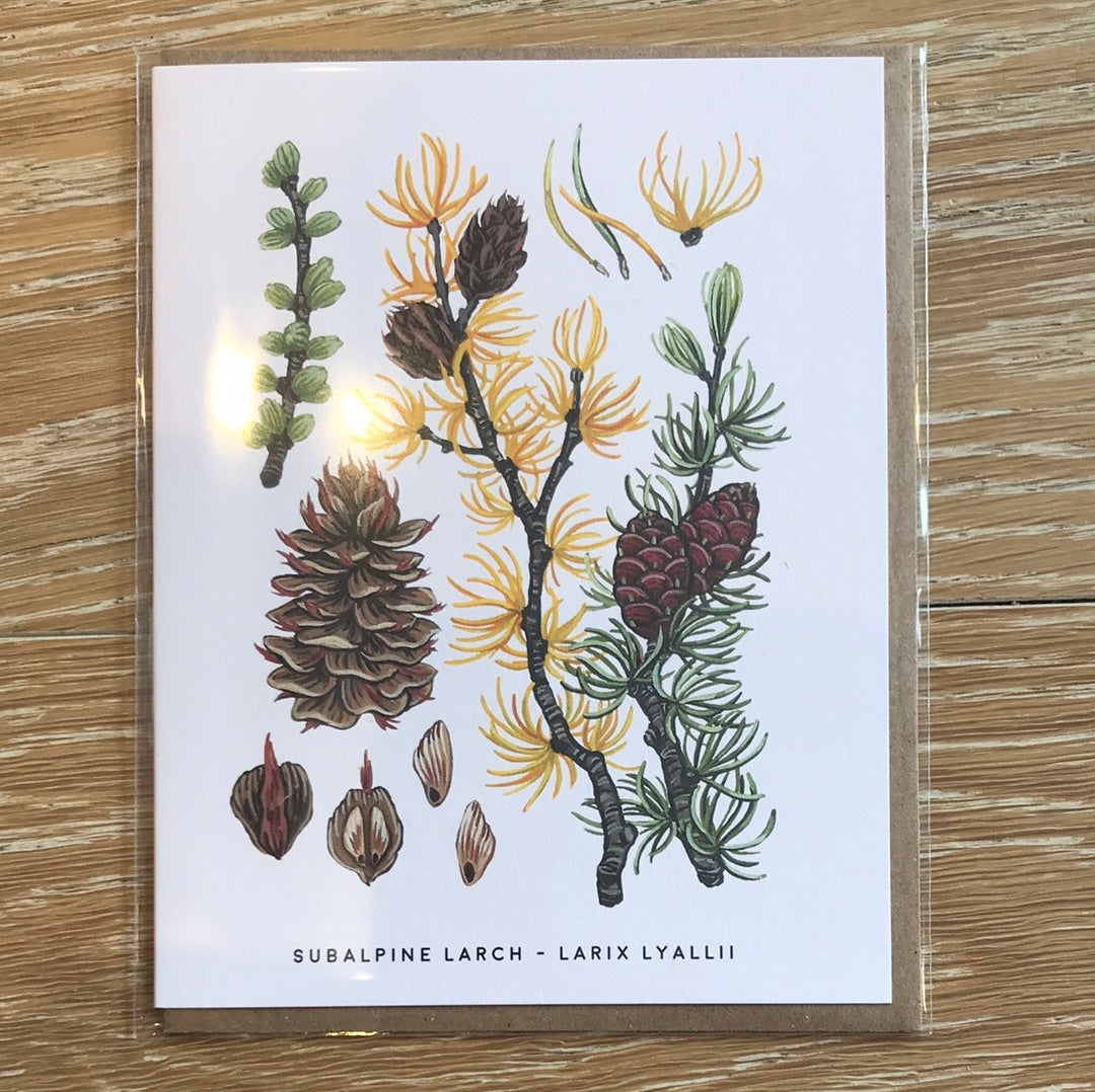 Scout Greeting Cards