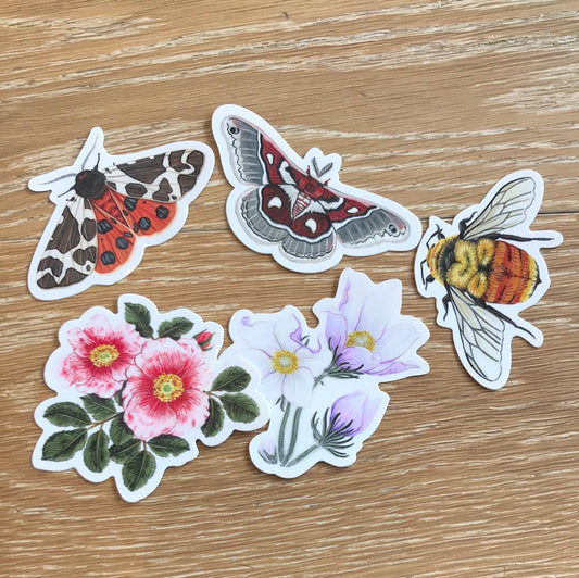 Scout Stickers